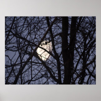 Full Moon scene Poster