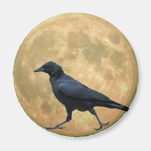 Full Moon, Walking Crow Magnet