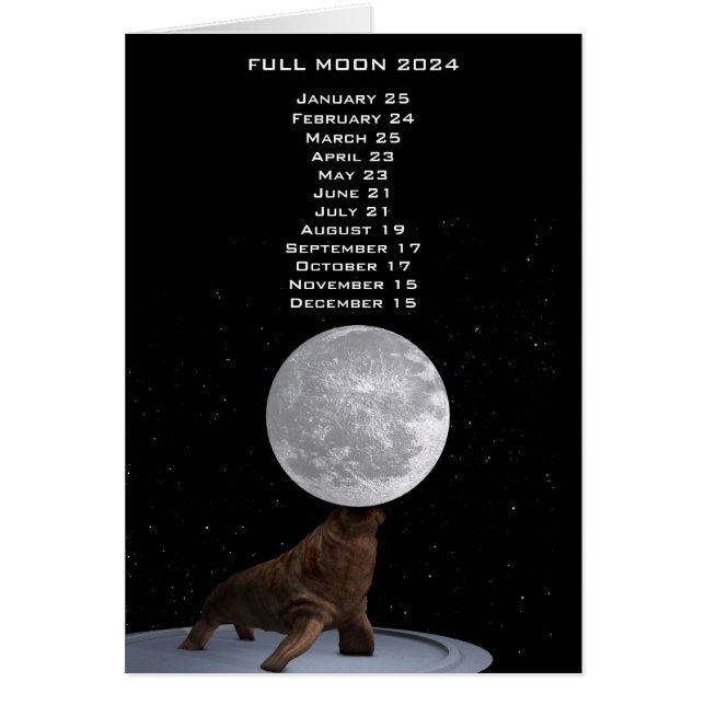 Full Moon Walrus  2024 US Eastern Date (Front)