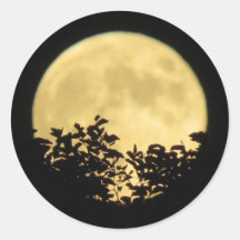 Full moon with tree branches in front