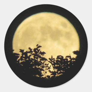 Full moon with tree branches in front  classic round sticker