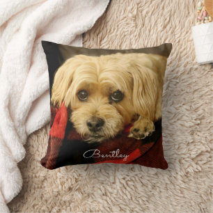Full Photo Pet Pillow   Snowflakes