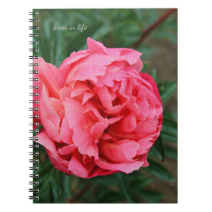 Full Pink Peony  Notebook