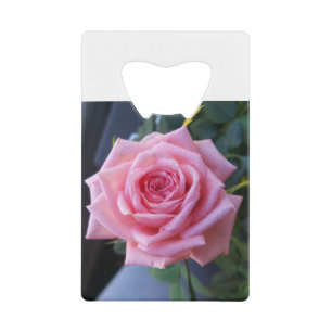 Full pink rose
