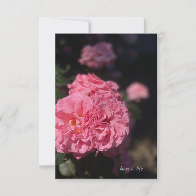 Full Pink Rose Card (Front)