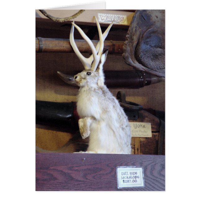 Full Size Jackalope $287.00 (Front)