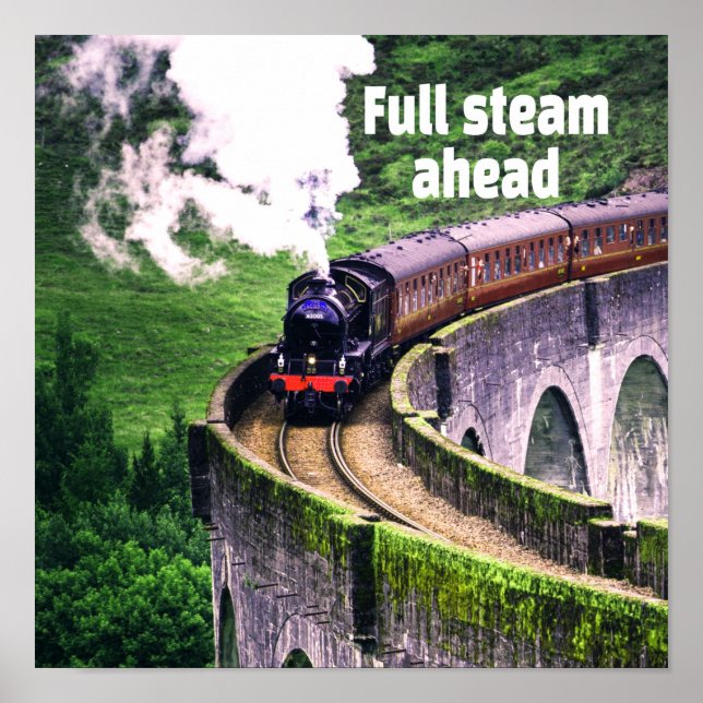 Full steam ahead Locomotive Train on Bridge Poster (Front)