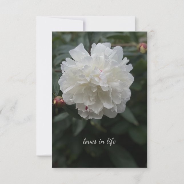 Full White Peony Card (Front)