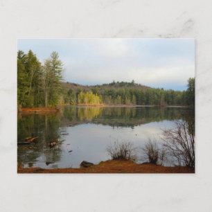 Fullam Pond Postcard