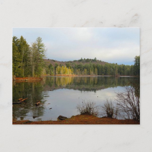 Fullam Pond Postcard (Front)