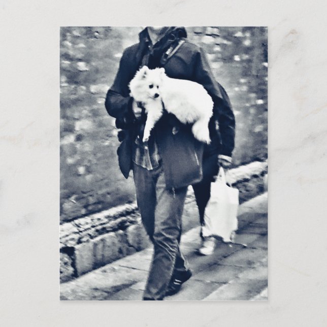 fullsizeoutput_c78 Black and White Pomeranian Postcard (Front)