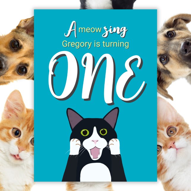 Fun 1st Birthday Cute Surprised Tuxedo Cat Invitation (Creator Uploaded)
