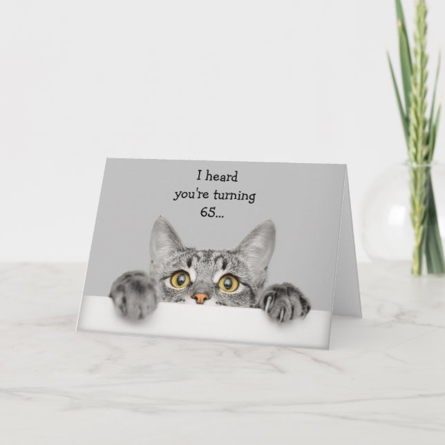 Fun 65th Birthday with Cat Animal Humour Card (Front)