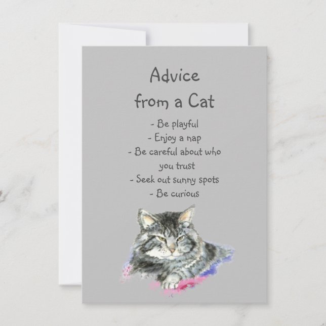Fun Advice from a Cat Fun Animal Humour (Front)