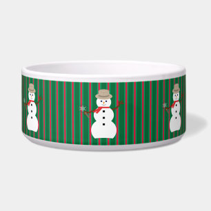 Fun and Fancy Christmas Snowman Detective