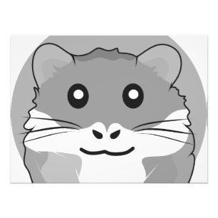 Fun and lighthearted hamster photo print