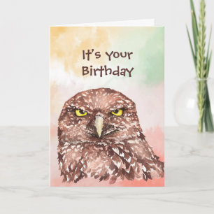 Fun Belated Birthday Sorry Owl Bird Animal Nature  Holiday Card