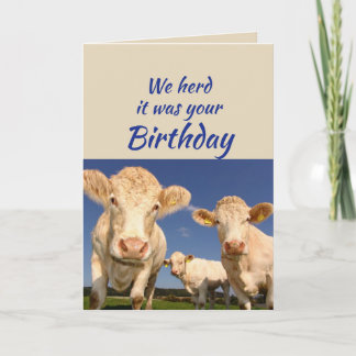 Fun Birthday From Us Cow Animal Humour Card