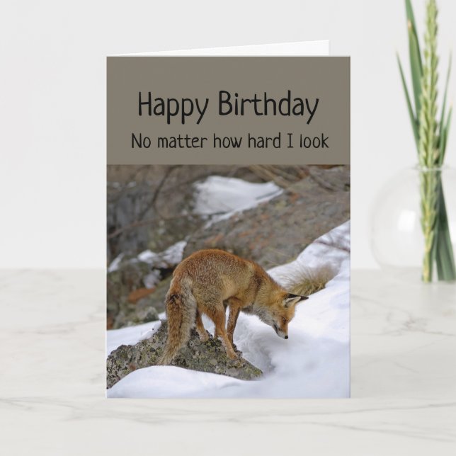 Fun Birthday You Deserve Wonderful Birthday Fox  Card (Front)