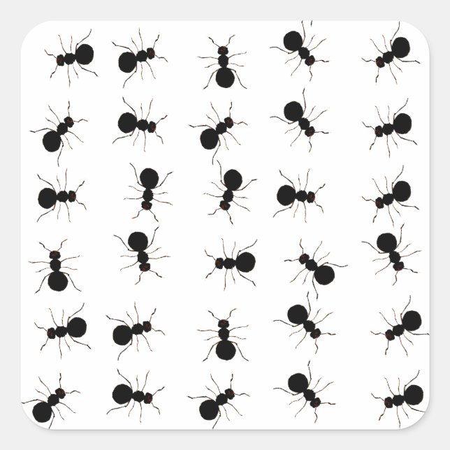 Fun Black Ant Bug Print Square Sticker (Front)