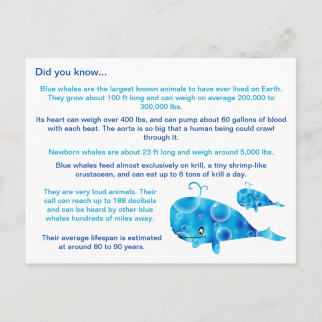 Fun Blue Whale Facts Postcard (Front)