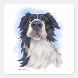 Fun Boarder Collie Cartoon Square Sticker