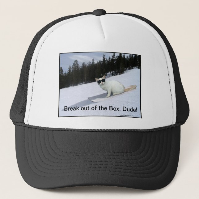 Fun "Break out of the Box" Cat Ball Cap (Front)