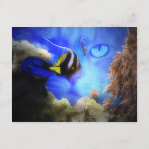 Fun Cat and Fish Postcard