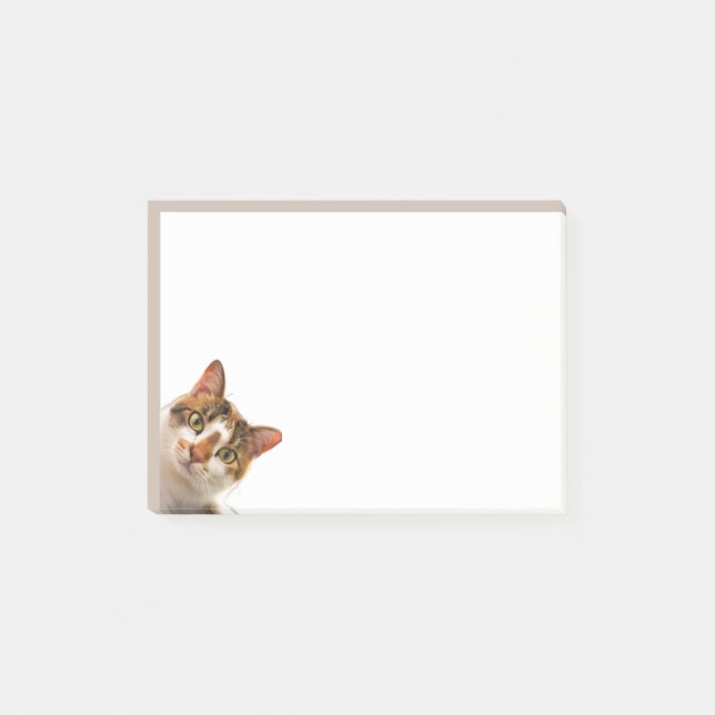 Fun Cat Kitten Looking at You Cute Animal Fun Post-it Notes (Front)