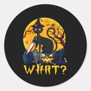 Fun Cat Lover Halloween Costume Black Cat On Pumpk Classic Round Sticker