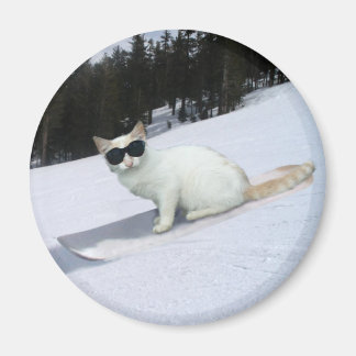 Fun Cat on a Snowboard Magnet