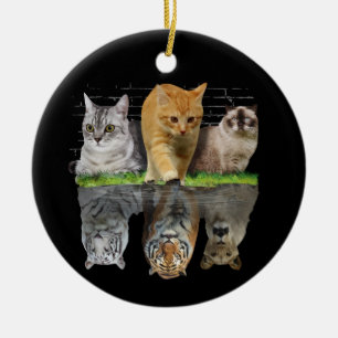 Fun Cat Reflection Gift Design Idea Ceramic Ornament
