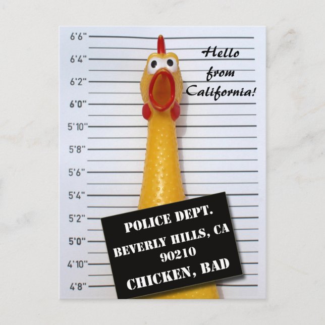 Fun Chicken Beverly Hills Mugshot Postcard! Postcard (Front)