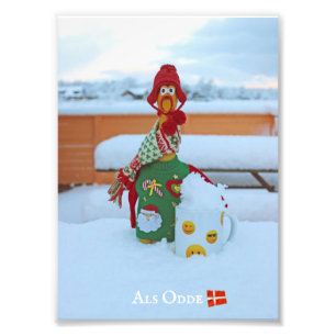 Fun Chicken in Als Odde/Denmark Photo Print! Print