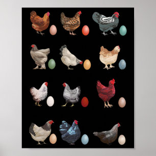 Fun Chicken With Eggs Easter Day Chicken Trendy Cl Poster