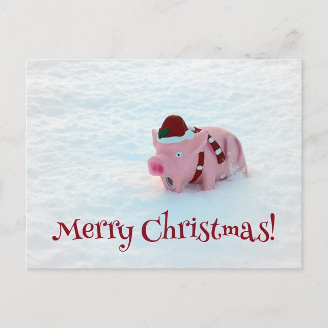 Fun Christmas Pig Postcard! Postcard (Front)