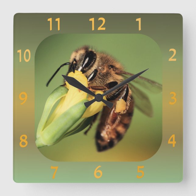 Fun Close-up Bee Pollen Basket On Yellow Flower Square Wall Clock (Front)
