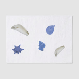 Fun coastal seashell blue 10lb Tissue Paper, White Tissue Paper