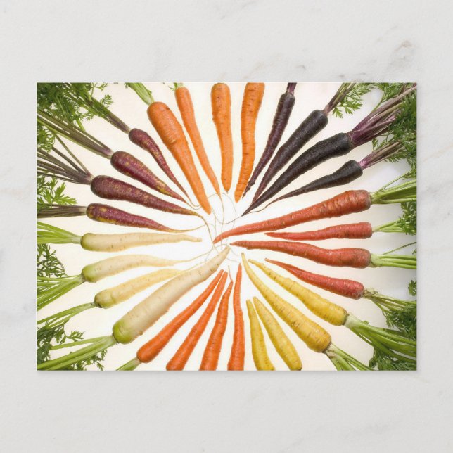 Fun Colourful Carrots Postcard (Front)