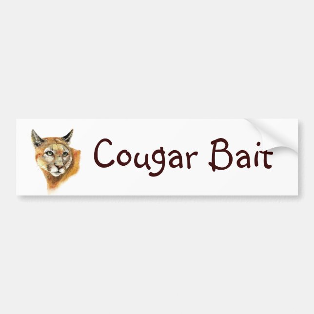 Fun "Cougar Bait " with Watercolor Animal Bumper Sticker (Front)