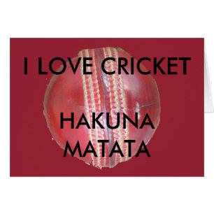 Fun Cricket Ball Design