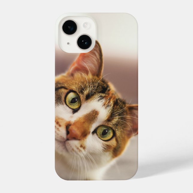 Fun Curious Cat Kitten Pet Animal  iPhone Case (Back)