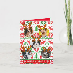 Fun custom Xmas elf photo in hole pet Invitation