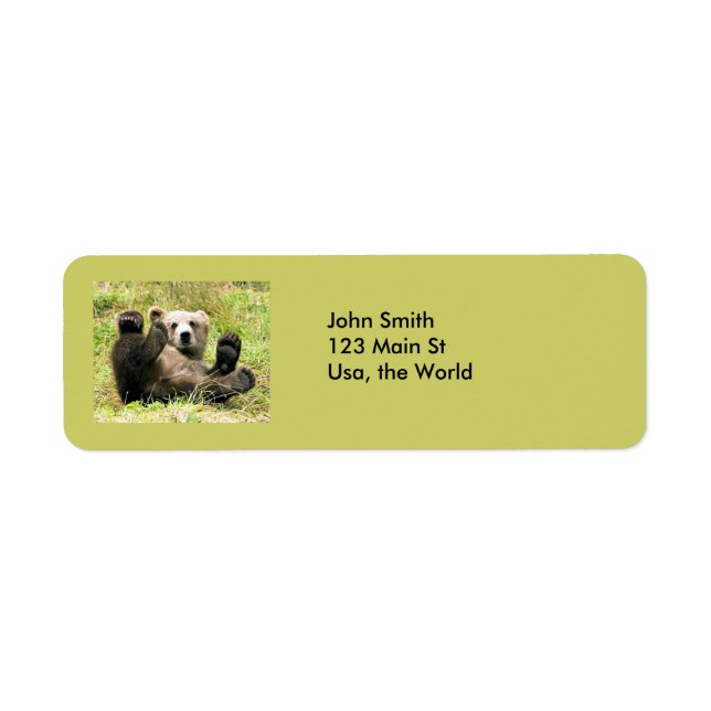 Fun cute bears return address label (Front)