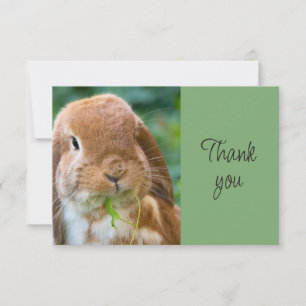 Fun Cute Bunny Rabbit Pet Animal Thank You Card