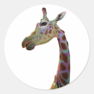 Fun cute colourful Giraffe    Classic Round Sticker