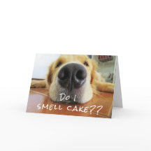 Fun Cute Dog Big Nose Happy Birthday