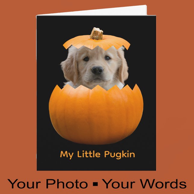 Fun Cute Personalised Halloween Pumpkin Dog Photo Card (Creator Uploaded)