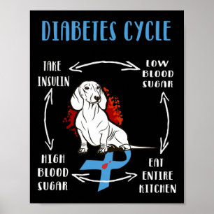 Fun Dachshund Diabetic Life Cycle Diabetes Awarene Poster