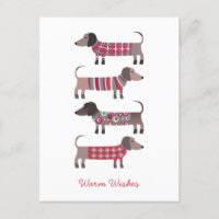 Fun Dachshund Dog
